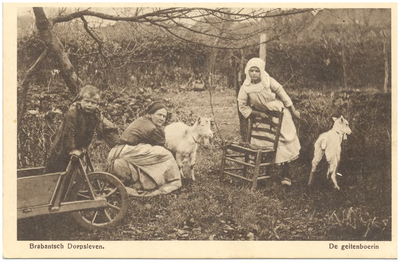 18197 Het melken van de geit door de boerin, 1900 - 1917