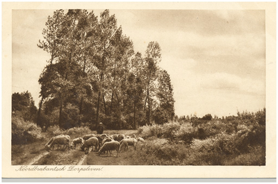 18202 Het hoeden van schapen door de schaapsherder op de hei, z.j.