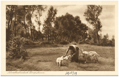 18204 Het weiden van de geiten, 1918 - 1919