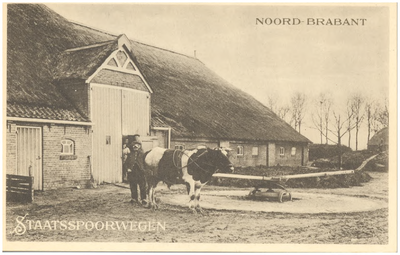 18223 Het longeren van een os rondom een draaiboom, met rechts ervan een boerderij, 1900 - 1920