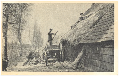18228 Het dekken van het dak met riet door de rietdekker, 1900 - 1930