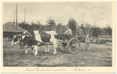 18229 Het rijden met de ossenkar, 1900 - 1917