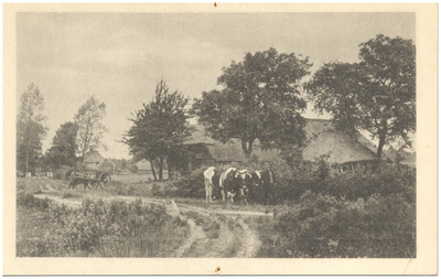 18231 Het weiden van koeien, z.j.