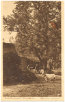 18256 Een erf met takkenbos, geit en hoogkar, 1900 - 1916