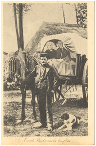 18278 Huifkar, met ervoor een paard en erin dames, 1915 - 1935