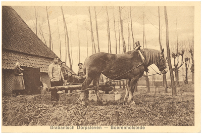 18292 Het longeren van een paard op het erf van de boerderij, 1915 - 1926