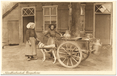 18299 Het vervoeren van melkbussen met de hondenkar, 1900 - 1920