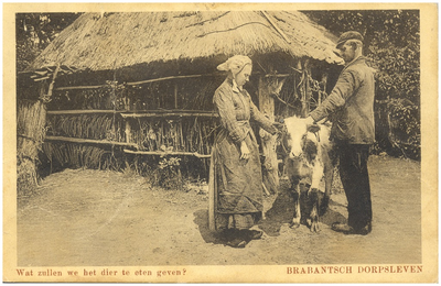 18325 Het verzorgen van het kalf door boer en boerin, 1910 - 1920