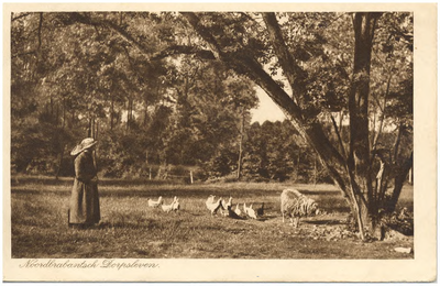 18326 Het voeren van de kippen door de boerin, 1900 - 1917