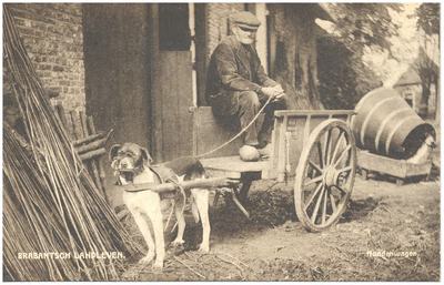 18328 Het rijden met de hondenkar door boer Dikmans, op het erf voor de schuur, 1910