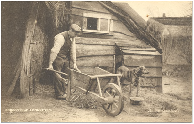 18329 Het kruien met de kruiwagen door de boer, op het erf voor de schuur, 1905 - 1915