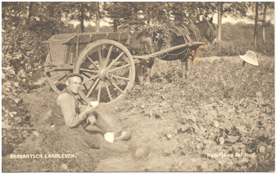 18331 Consumptie : het drinken van koffie op het veld, op de achtergrond het paard met hoogkar, 1900 - 1920