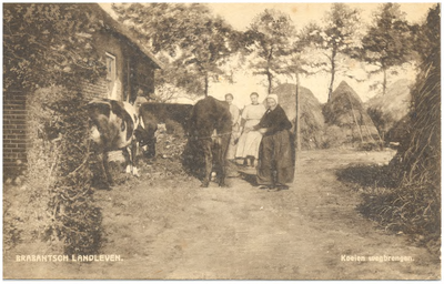 18336 Het weiden van de koeien, 1900 - 1920