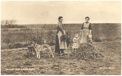 18341 Het verspreiden van mest over de veld door twee boerinnen, met erbij twee kinderen, 1900 - 1920