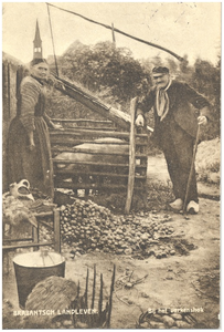 18347 Het houden van het varken in het varkenshok op het erf, 1900 - 1920