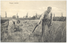 18362 Het maaien en opbinden van rogge door boer en boerin, 1910 - 1940