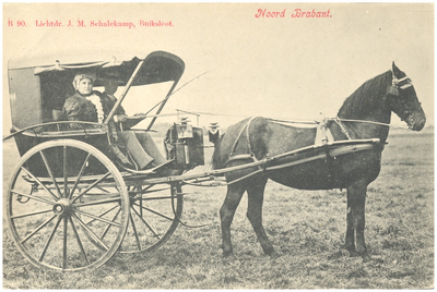 18370 Een half gesloten koets met een paard ervoor op het land, 1900 - 1920