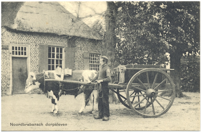 18371 Een ossenkar met erdkar voor de boerderij, 1910 - 1930