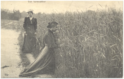 18376 Het bidden bij een korenveld, 1900 - 1920