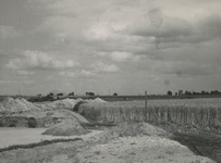 195795 Natuurontwikkeling: wijzigen van de loop van de Dommel, Herzenbroekenweg, 1951 - 1955