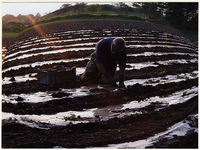 125049 Een landbouwer aan het werk op zijn land aan De Vinnen in Maarheeze, 2003