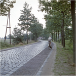  Serie van 3 glaspositieven betreffende de weg van Oerle richting Wintelre of vice versa, 1955 - 1965