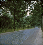 255285 Oude Kerkstraat - Biemeren, 1955 - 1965