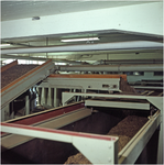 255337 Het productieproces van Sigarenfabriek Velasques:, 1955 - 1970