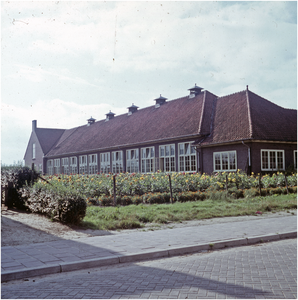255391 R.K. Aloysiusschool voor jongens, voor het pand dahliaveld van Dahlia-vereniging Flora, 05-10-1961