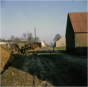 257495 Boer, paard en wagen in modderige agrarisch omgeving, Hoogeind (?), 1955 - 1965