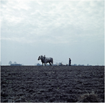 257497 Agrarische omgeving: boer met paarden ploegen het land, 1955 - 1965