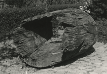 505627 Zijaanzicht van de uitgegraven put , 1981