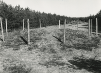 505740 Grafheuvel: twee paalkransgraven, spelende kinderen, 05-04-1964