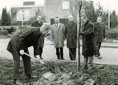 240946 Boomplantdag. Het planten van een boom door Burgemeester De Leeuw aan de Eindhovenseweg, 1970