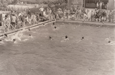 241445 Schoolzwemtournooi : het zwemmen van de wedstrijd, 1974