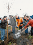 243656 Het planten van een boom door wethouder Mari Vervaart en leerlingen van de basisscholen Klimboom en Paersacker ...