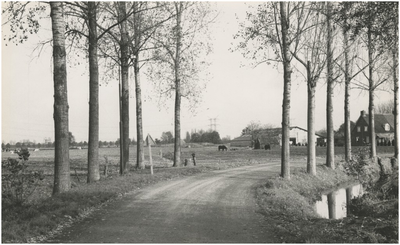 670 De omgeving van het Aanschot, met rechts op de achtergrond de boerderij op nr. 3, 1978