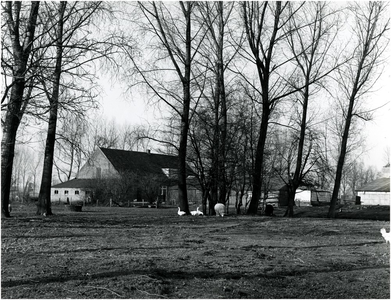 677 De omgeving van boerderij aan het Aanschot, nr. 5, 02-1980
