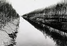 18858 Beatrixkanaal, 1971