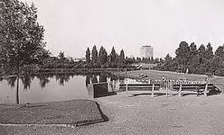 25920 Openbaar groen : park Engelsbergen, 1971