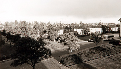 29205 Panorama van Lievendaal, 1973