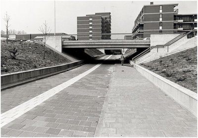29902 Meerveldhovenseweg, viaduct met fiets- en voetgangerstunnel, ca. 1978