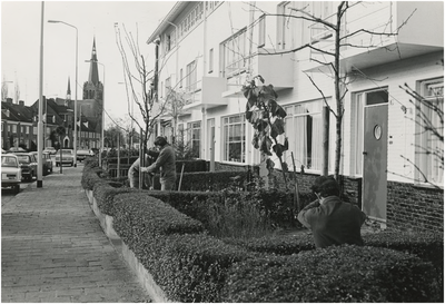 66888 Het planten van bomen in tuinen St. Jorislaan, 1980