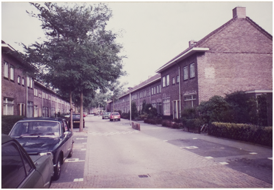 67499 Stekelroosstraat, gezien vanuit de 2e Bottelroosstraat, 10-1983