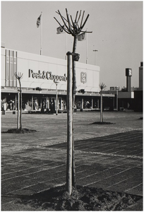 69776 Winkelcentrum Woensel, 1978