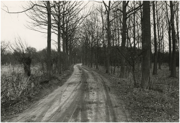 193211 Serie van 4 foto's betreffende het natuurgebied Lage Heide. Fietspad, 04-04-1973