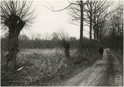 193212 Serie van 4 foto's betreffende het natuurgebied Lage Heide. Fietspad, 04-04-1973