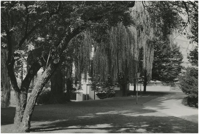 193646 Elzentpark of Dommelplantsoen. Op de achtergrond de Dommelbrug bij de Wal en het stadhuis, 1973