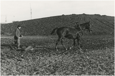 193690 Serie van 13 foto's betreffende de aanleg van het Henri Dunantpark. Het ploegen met behulp van een paard, 1972 - 1973