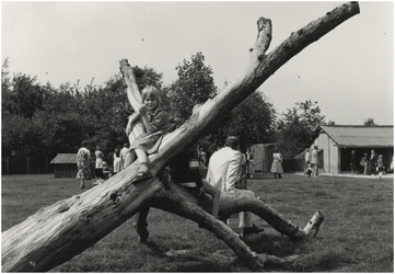 193828 Het spelen op de kinderboerderij in het Philips van Lenneppark, 1978